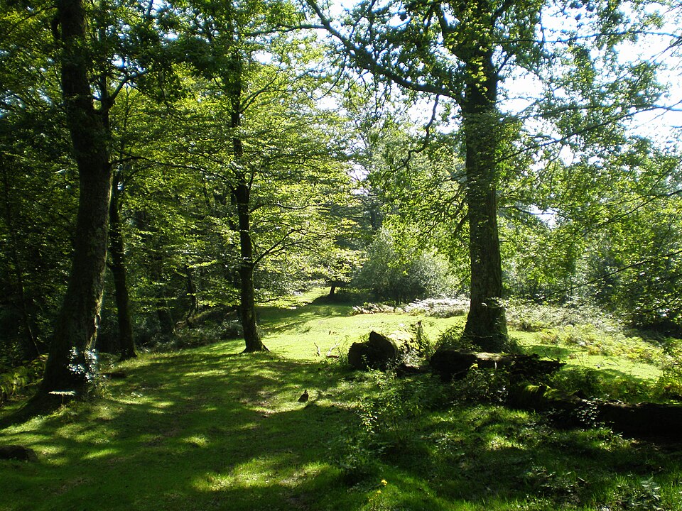 Saja-Besaya · Monte Ucieda