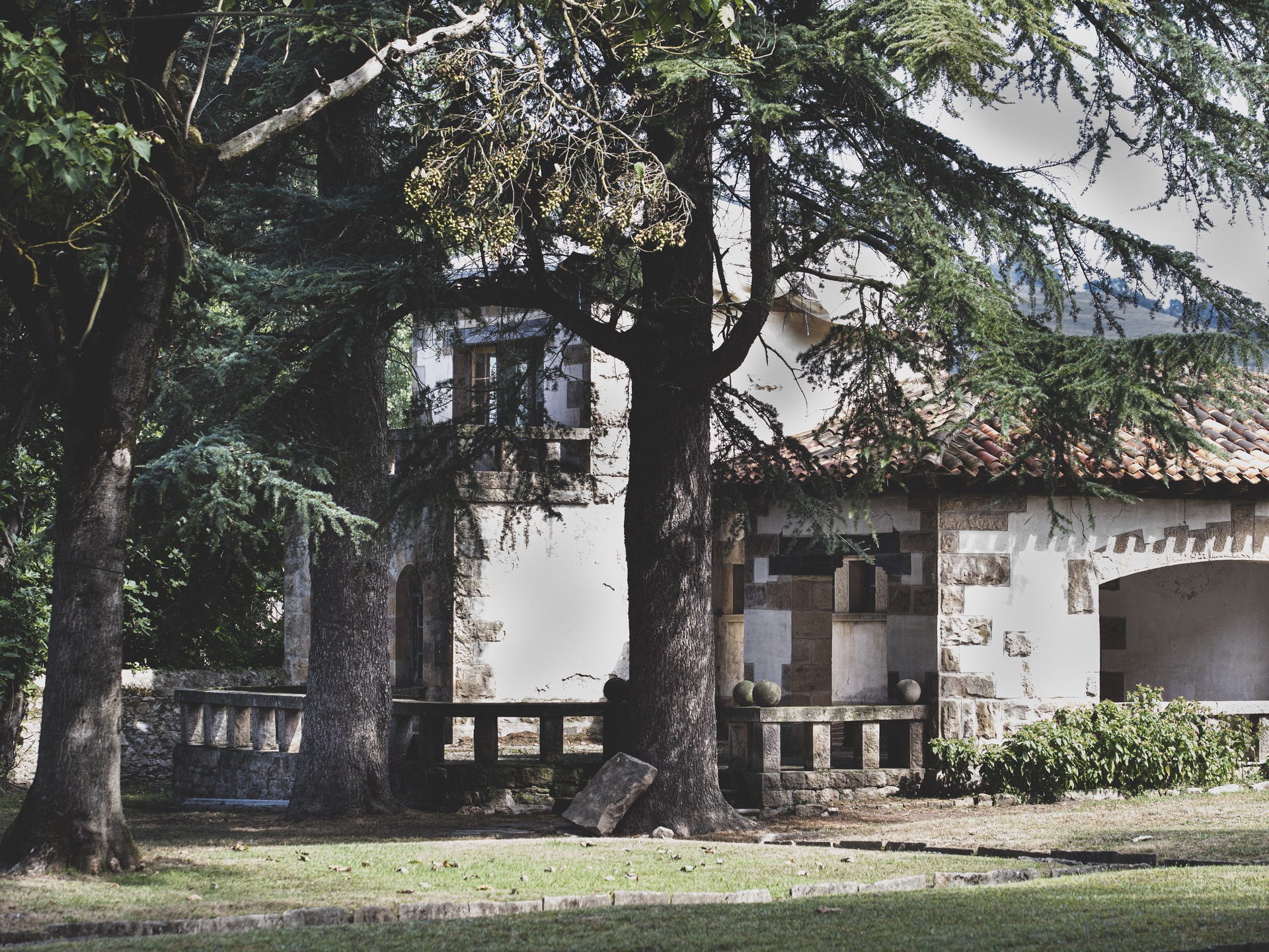 Trees in the garden of Palacio La Gloria