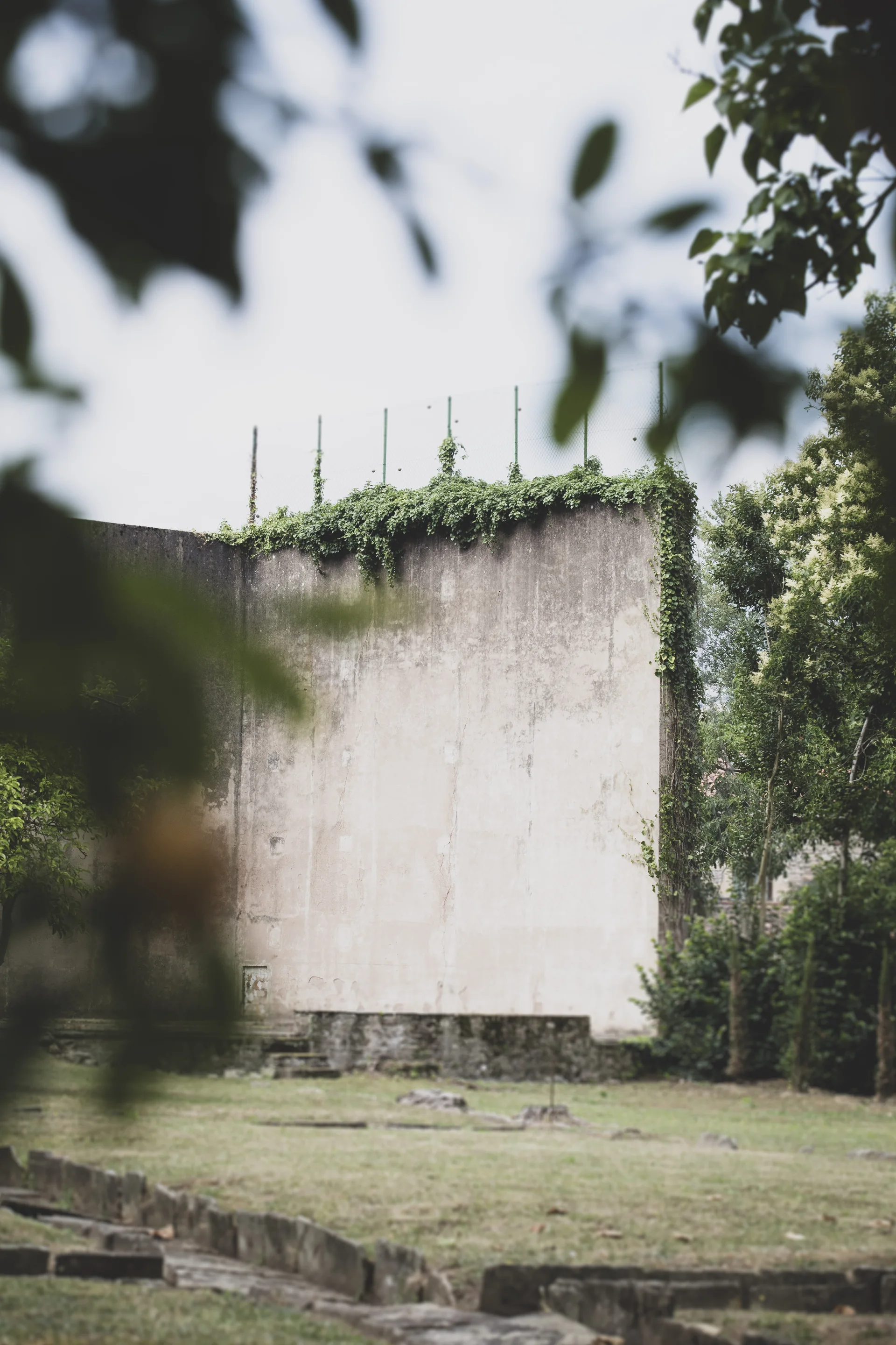 Muro del frontón rodeado de vegetación dentro de la finca.